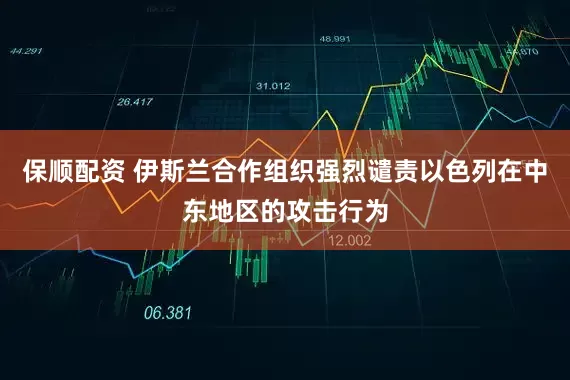 保顺配资 伊斯兰合作组织强烈谴责以色列在中东地区的攻击行为